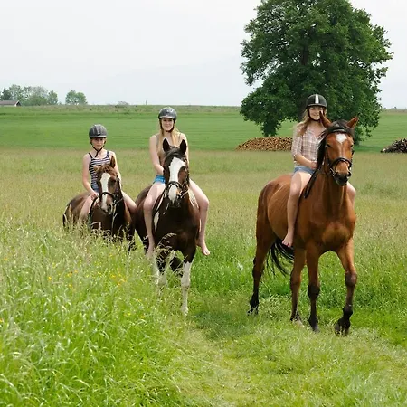 Moierhof Der Ferienbauernhof Am Chiemsee * Truchtlaching