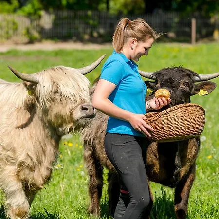 Moierhof Der Ferienbauernhof Am Chiemsee Farmház
